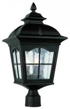 Trans Globe 5422 BK - Briarwood 3-Light Rustic, Chesapeake Embellished, Water Glass and Metal Framed Post Mount Lantern He