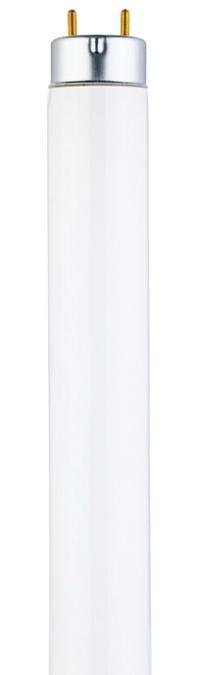 32W T8 Linear Fluorescent Cool White Medium BiPin Base, Sleeve