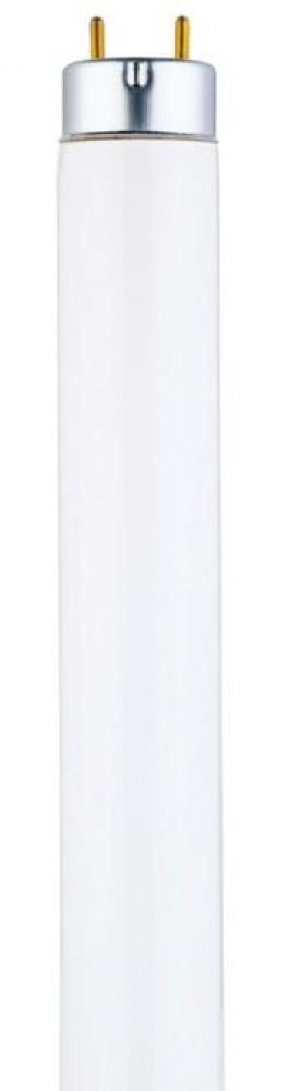 32W T8 Linear Fluorescent Warm White Medium BiPin Base, Sleeve