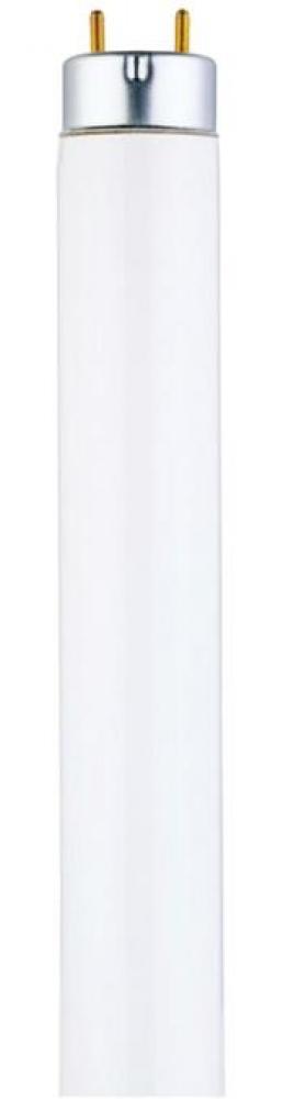 32W T8 Linear Fluorescent Cool White Medium BiPin Base, Sleeve