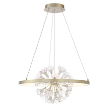 Eurofase 37342-012 - Clayton, Chandelier, LED, Slv/gol