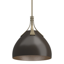 Hubbardton Forge 134502-SKT-MULT-84-14 - Summit Pendant