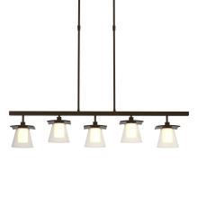 Hubbardton Forge 136605-SKT-SHRT-14-ZU0284 - Wren 5 Light Pendant