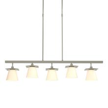 Hubbardton Forge 136605-SKT-SHRT-85-GG0242 - Wren 5 Light Pendant