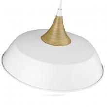 Millennium 4511-MW - Arlo 1-Light Pendant light Matte White