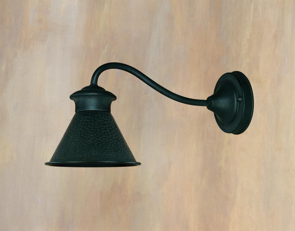 Dark Sky Essen 1-Light Outdoor Rust Wall Lamp