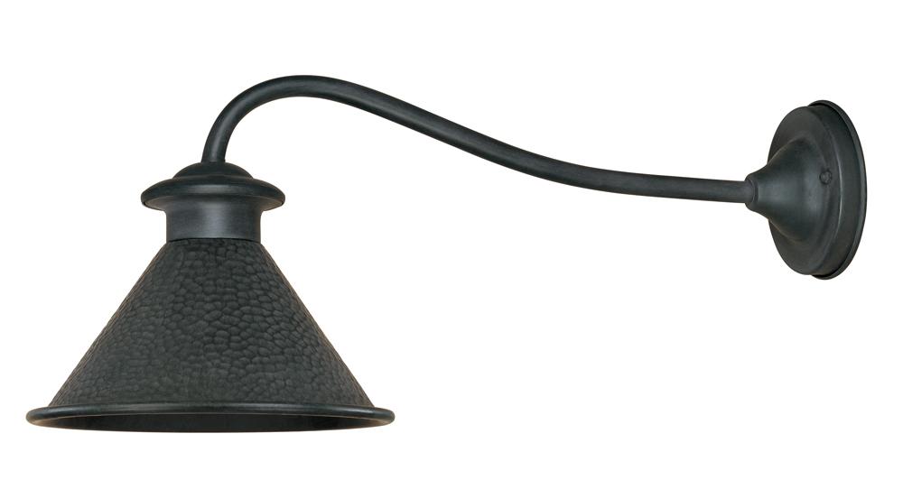 Dark Sky Essen 1-Light Outdoor Rust Wall Lamp