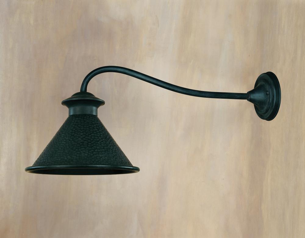 Dark Sky Essen 1-Light Outdoor Rust Long-Arm Wall Lamp